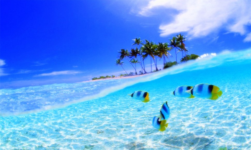 clear water wallpaper,sky,ocean,natural landscape,sea,azure