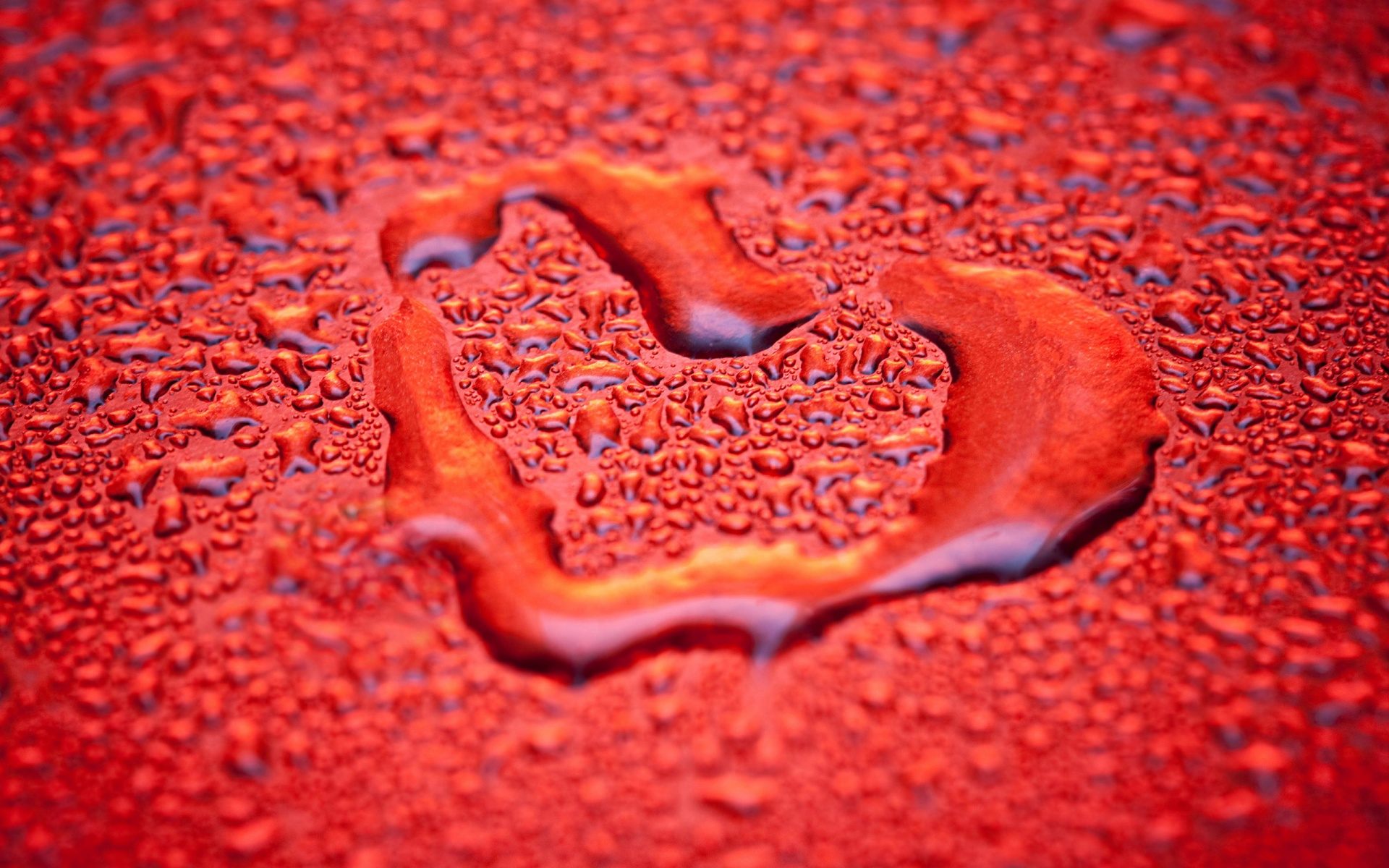 water love wallpaper,water,red,heart,close up,macro photography