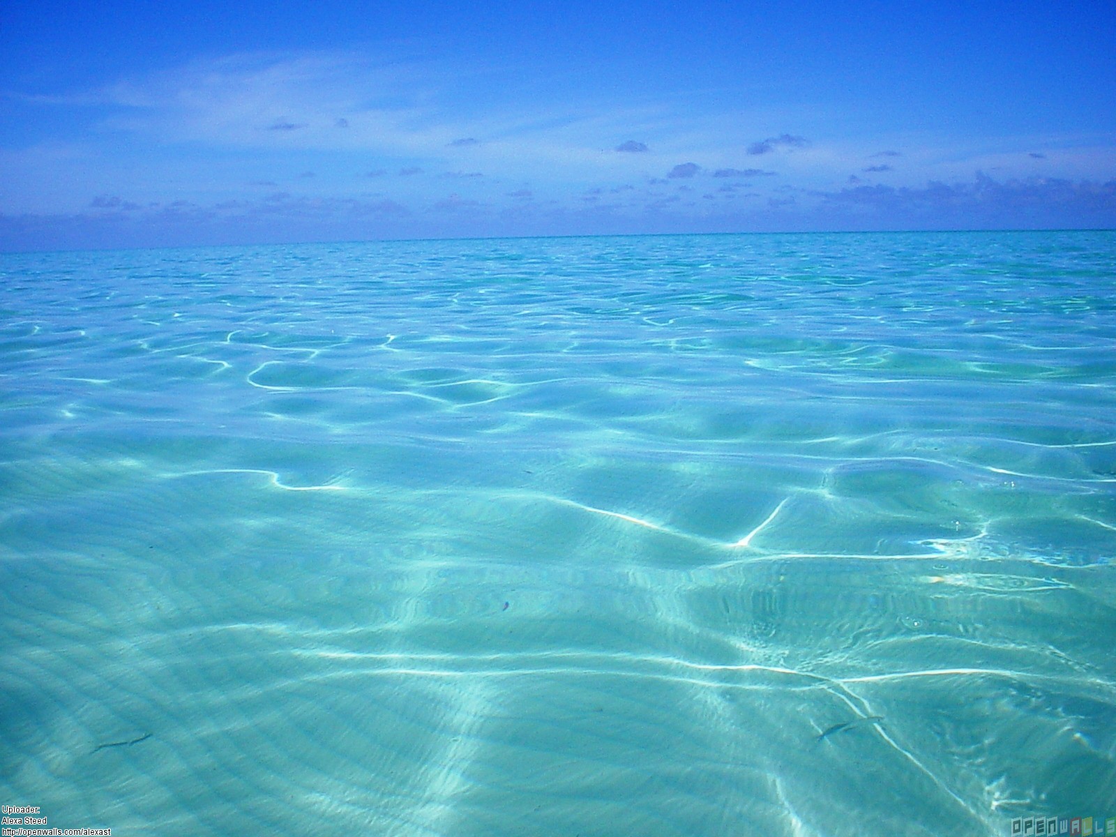 blue water wallpaper,blue,sky,sea,water,ocean