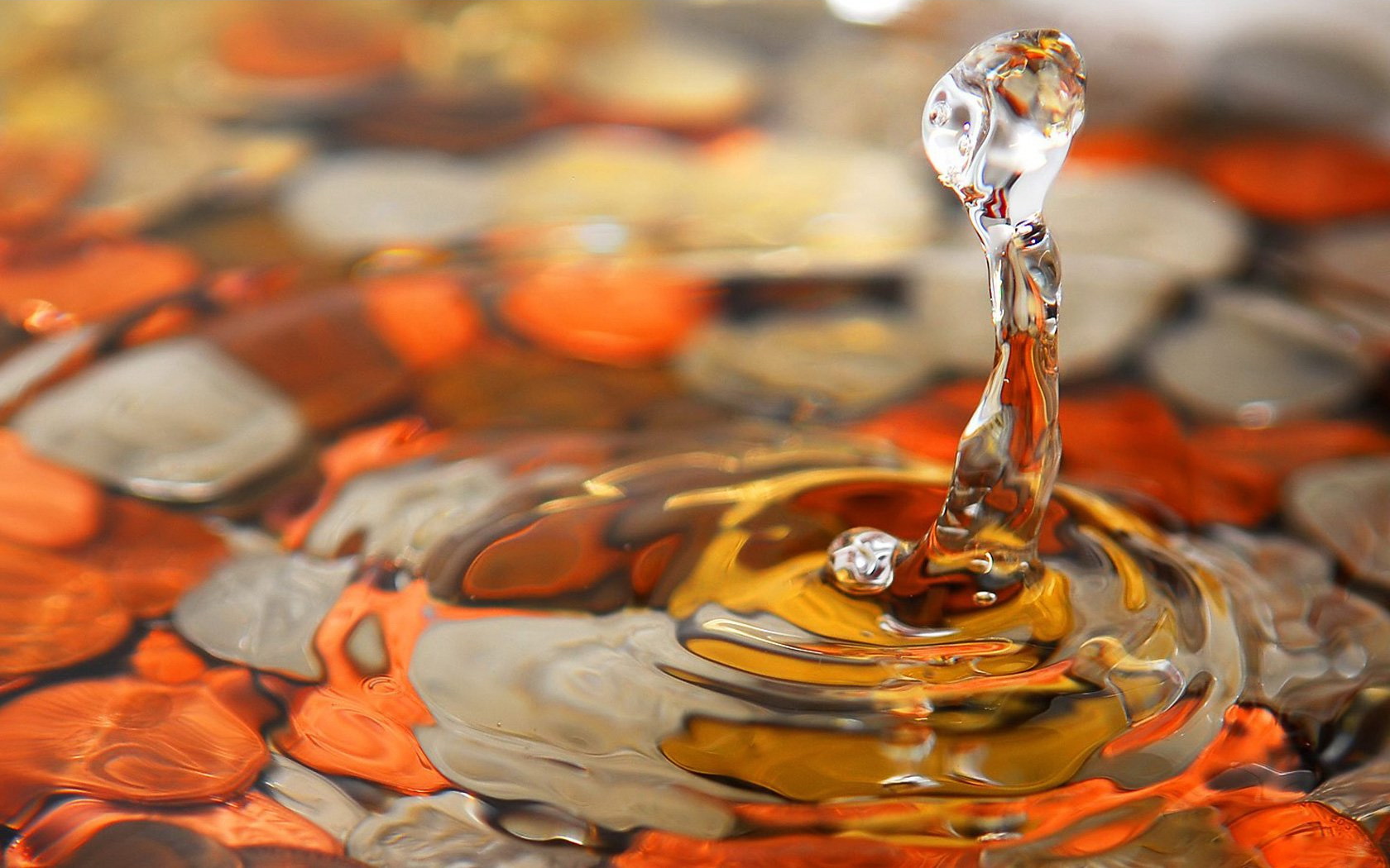 best water wallpaper,orange,amber,water,close up,glass