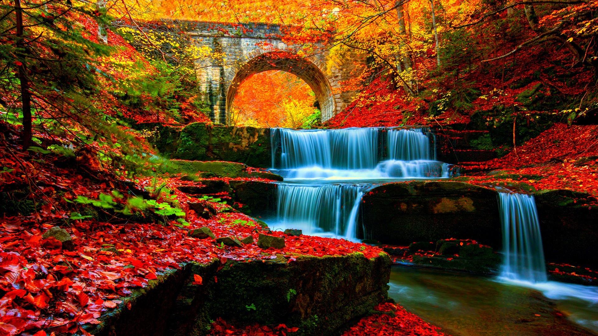 fondos de pantalla de temas de agua,paisaje natural,cascada,naturaleza,cuerpo de agua,agua