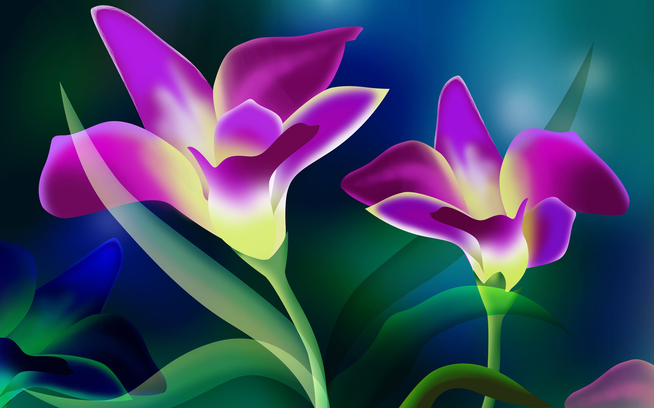 beautiful flower wallpaper download,flowering plant,petal,flower,purple,plant