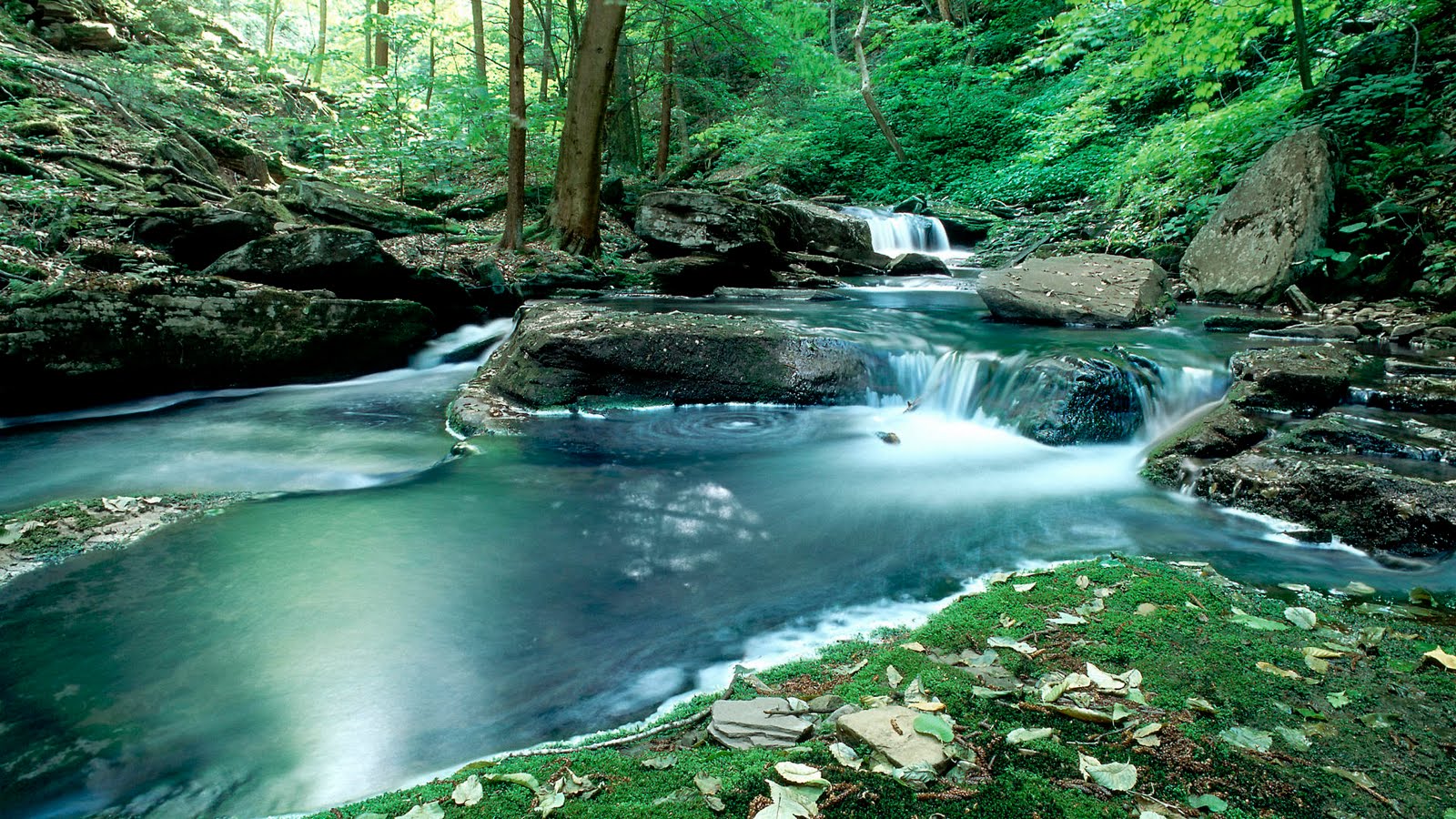 natura sfondi desktop gratis,risorse idriche,corpo d'acqua,paesaggio naturale,natura,ruscello