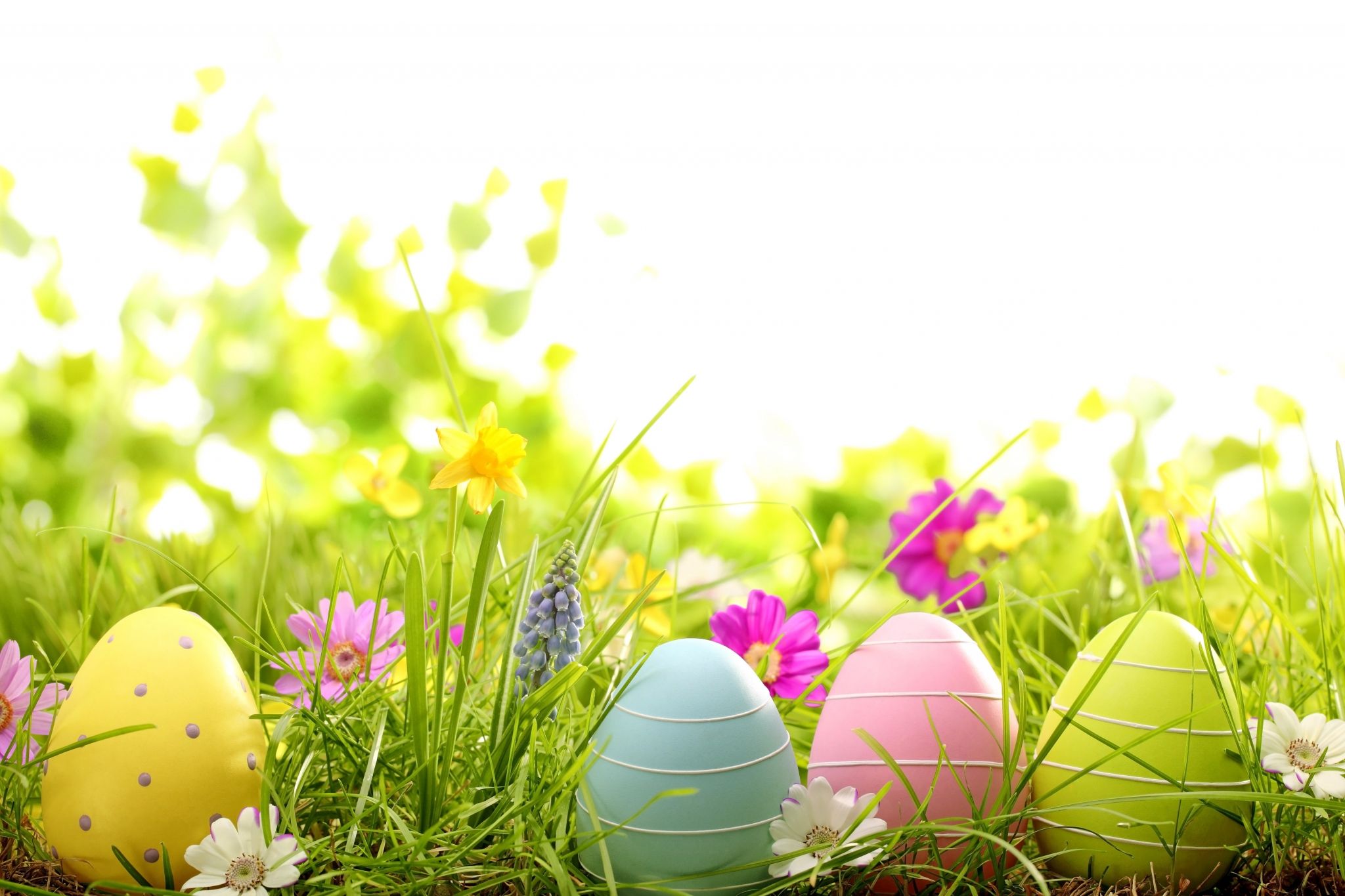 무료 부활절 바탕 화면 배경 무늬,부활절 달걀,잔디,부활절,봄,계란