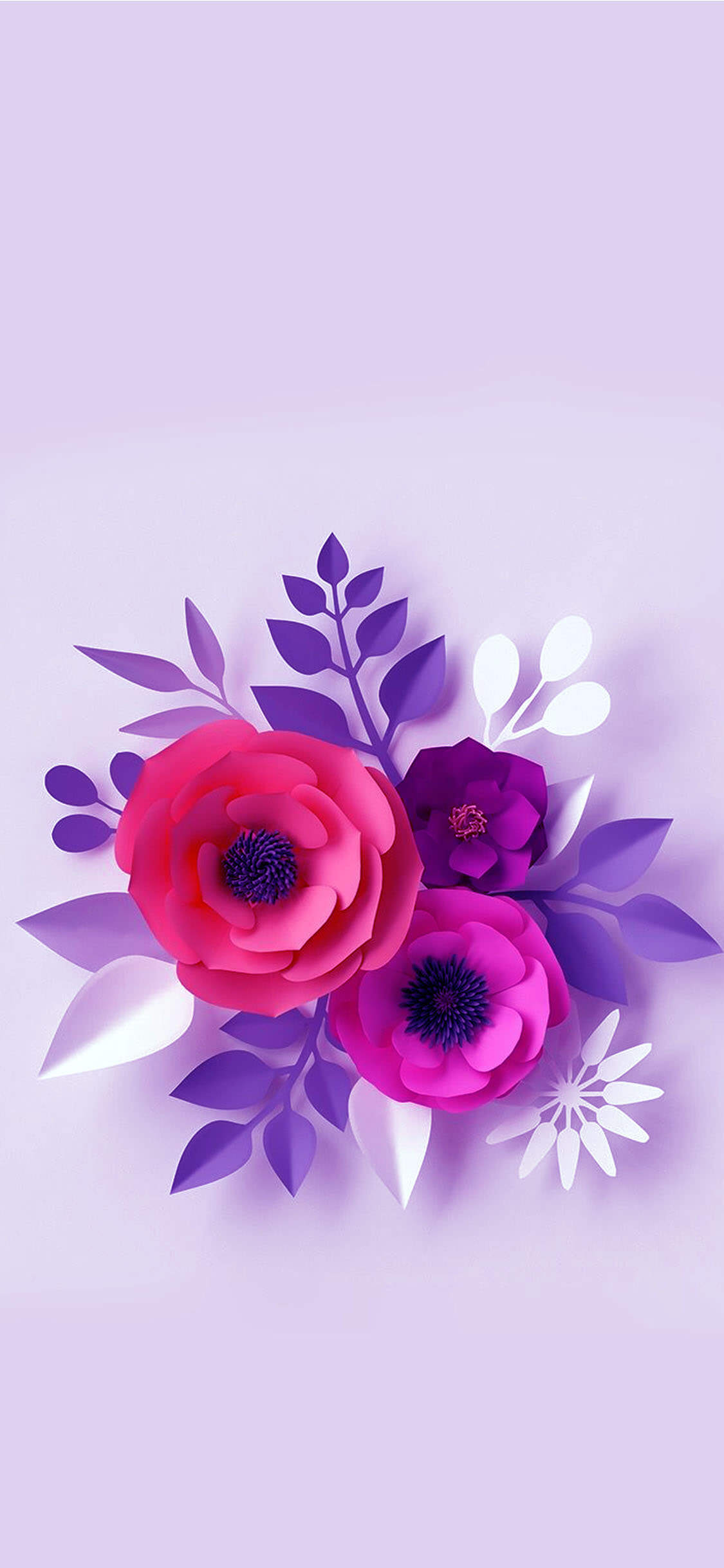 flower wallpaper pic,pink,flower,purple,petal,violet