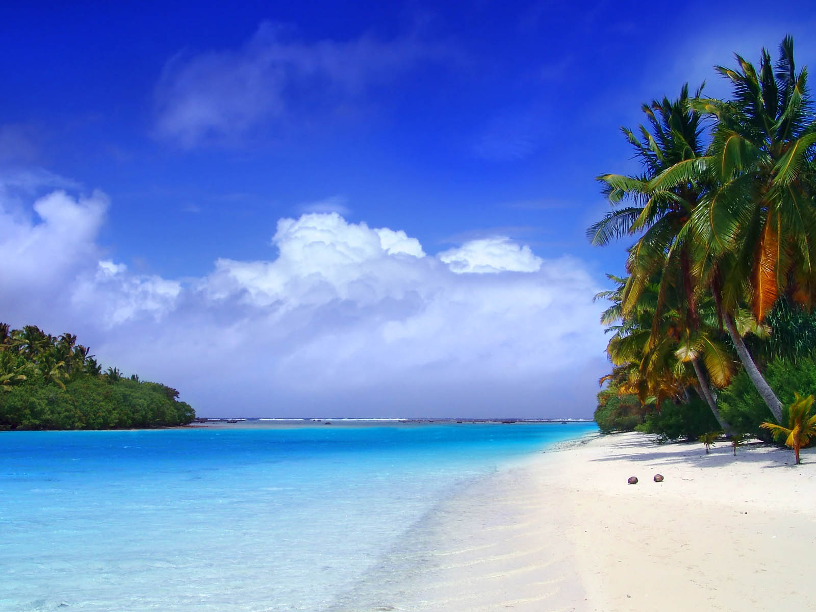 beach desktop wallpaper,body of water,tropics,natural landscape,nature,sky