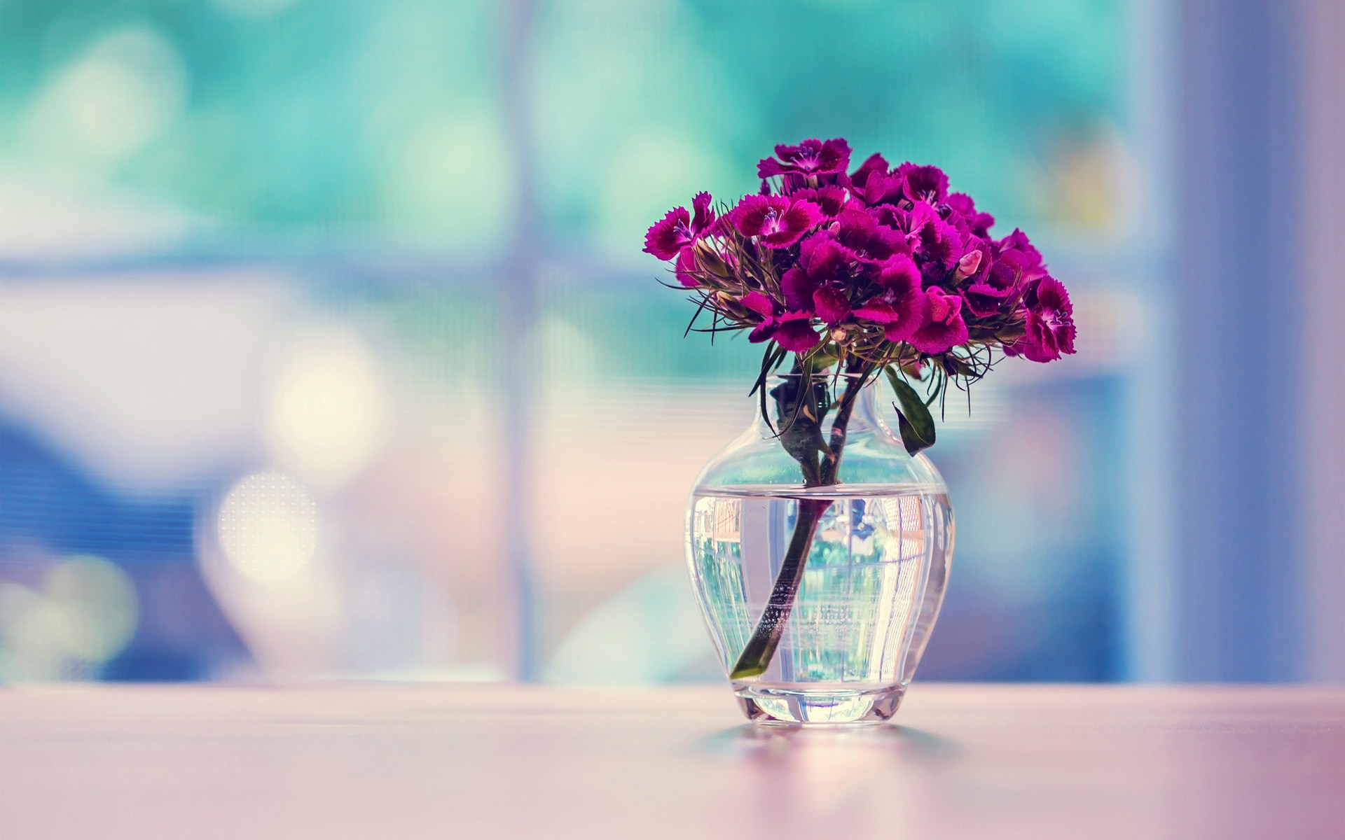 素敵な花の背景の壁紙,花,青い,ピンク,植木鉢,紫の