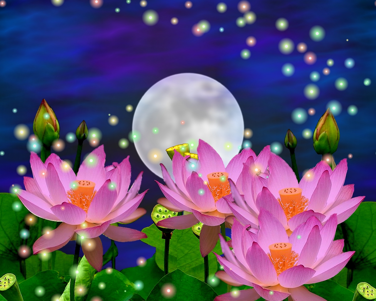 beautiful 3d flowers wallpapers,flowering plant,aquatic plant,sacred lotus,petal,flower