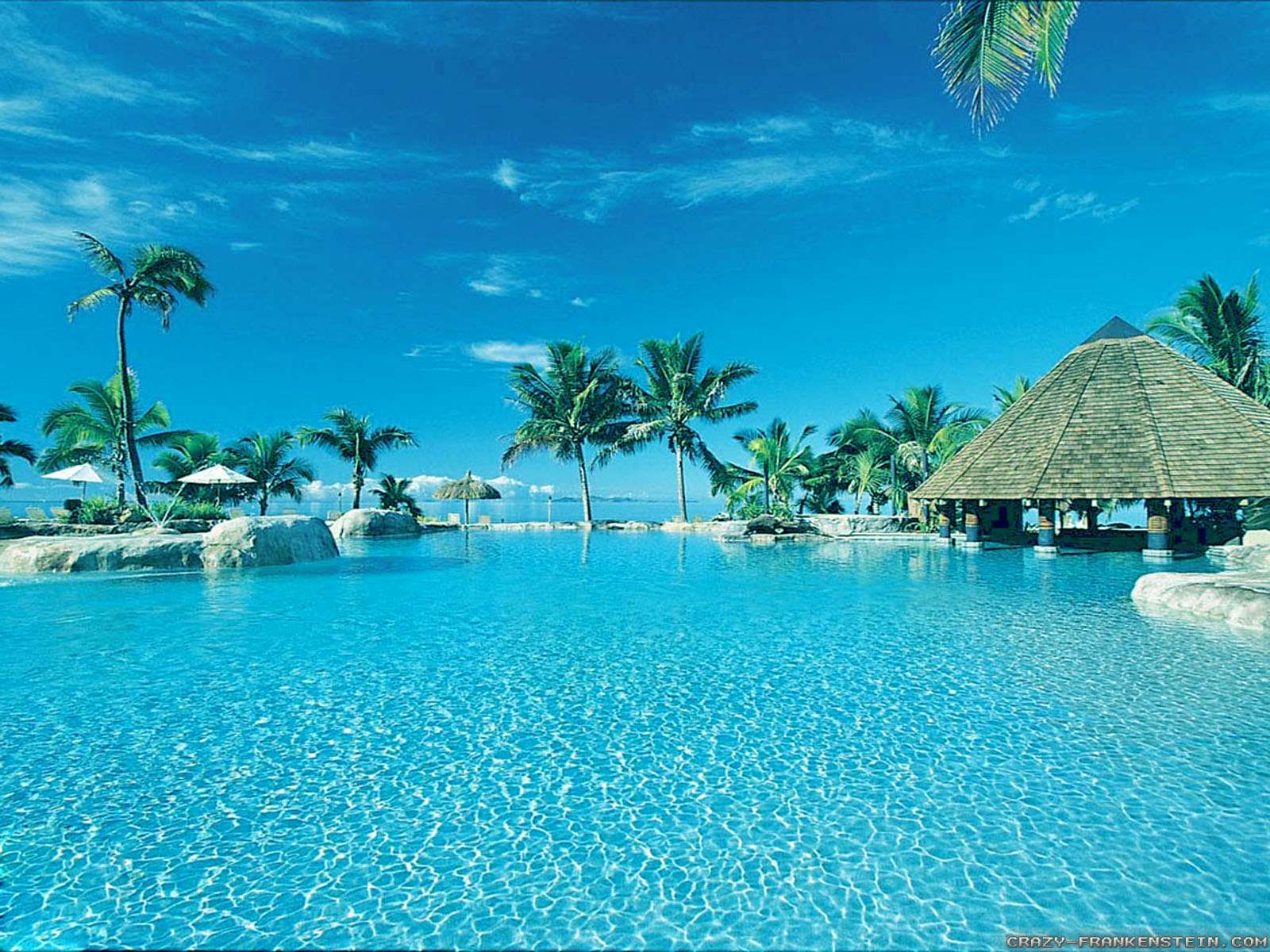 kostenlose sommertapete,schwimmbad,resort,urlaub,karibik,natürliche landschaft