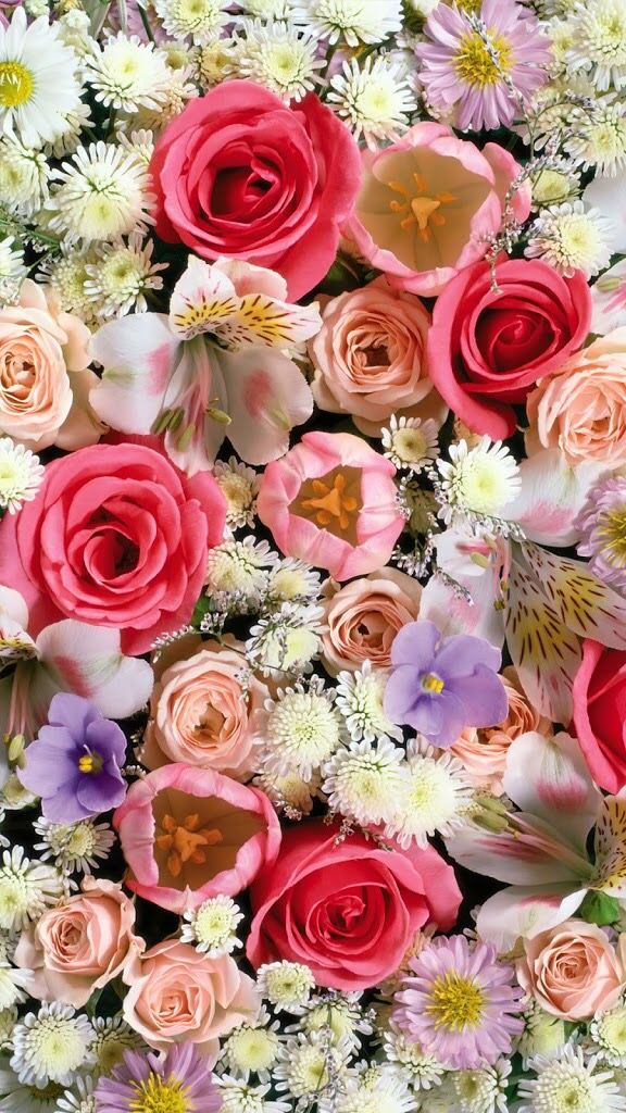 followers wallpaper,flower,bouquet,garden roses,rose,flower arranging ...