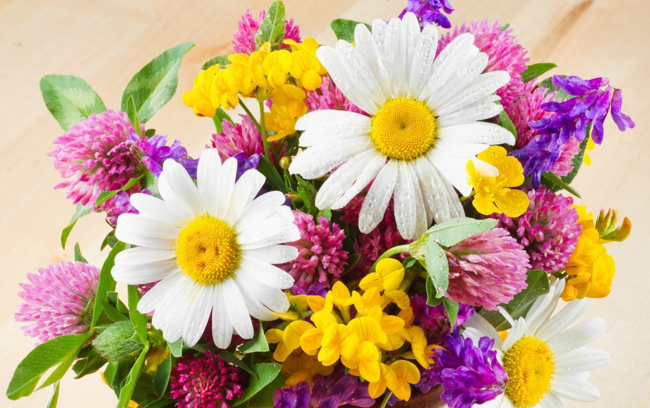 生花の壁紙,花,開花植物,花束,切り花,フローリストリー