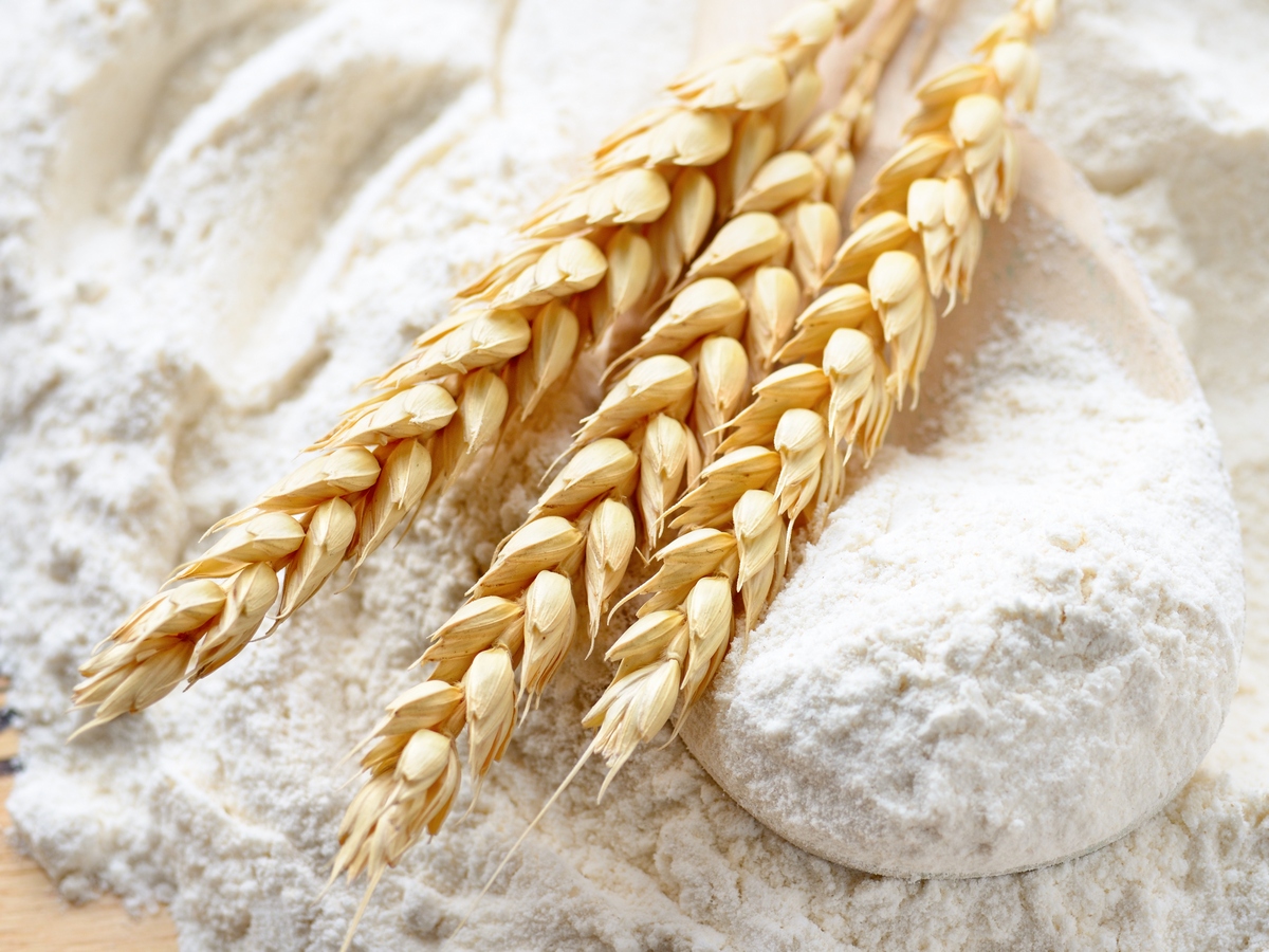 Maida Wheat Flour Meaning In Urdu WallpaperUse maida-wheat-flour-meaning-in-urdu-wallpaperuse