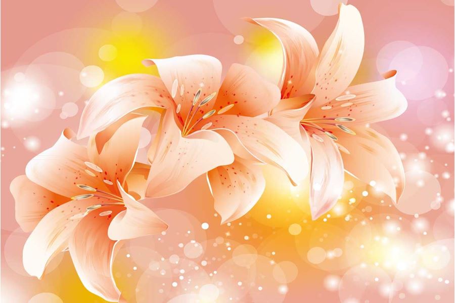 꽃 디자인 벽지,꽃잎,분홍,주황색,꽃,복숭아