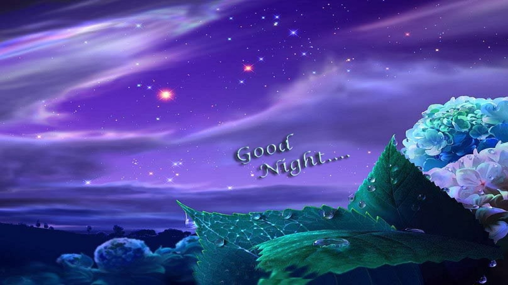 좋은 밤의 hd 벽지 무료 다운로드,하늘,자연,자연 경관,보라색,제비꽃