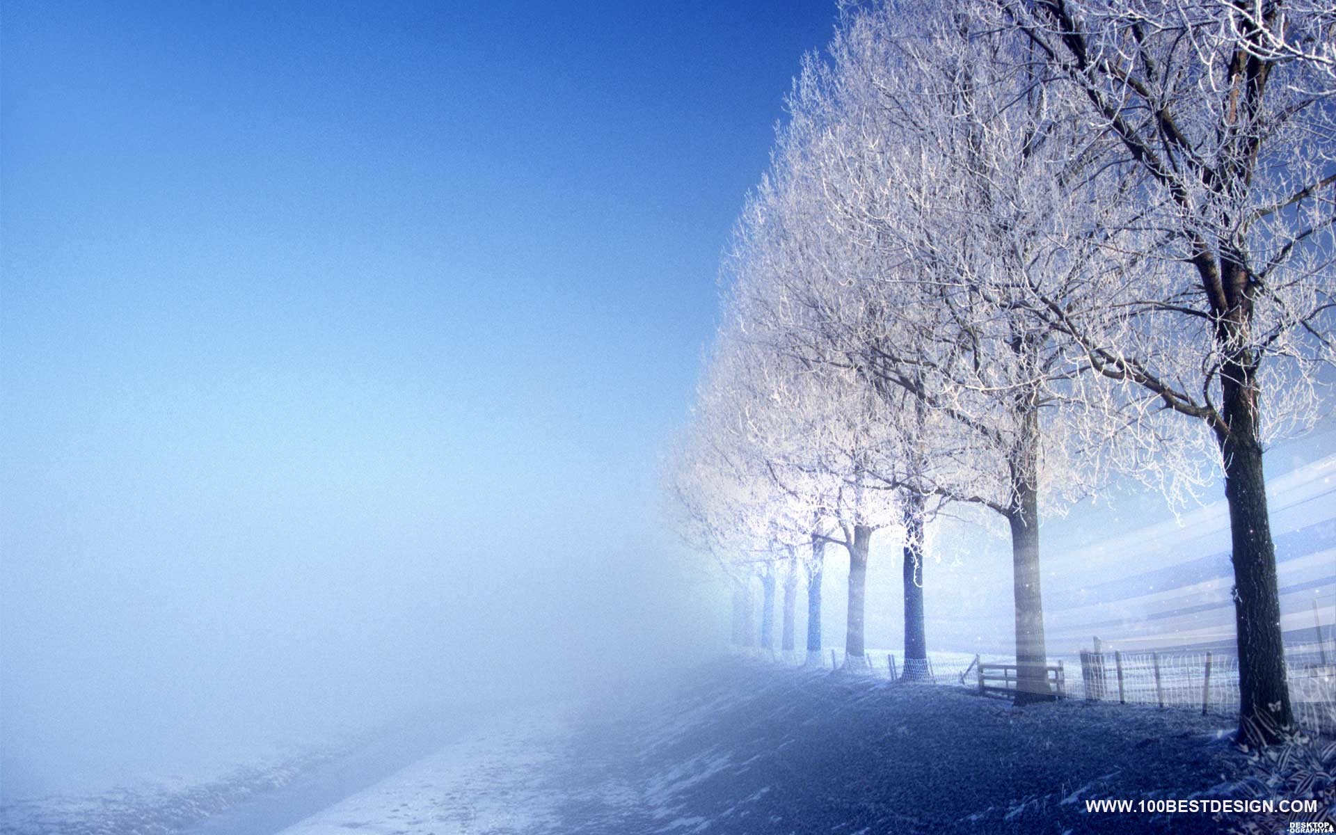 bonito bonito fondo de pantalla,cielo,paisaje natural,invierno,naturaleza,árbol