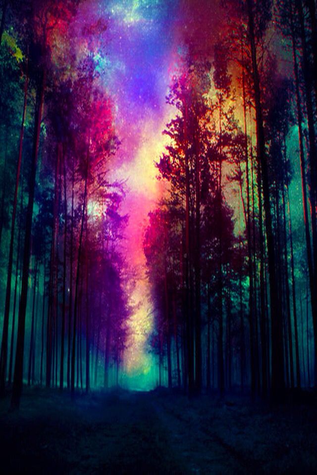 el fondo de pantalla más genial,naturaleza,paisaje natural,cielo,bosque,violeta