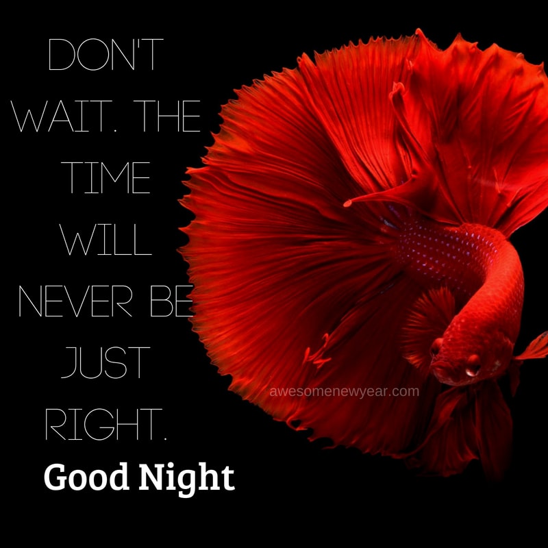 gud nyt wallpapers,red,petal,love,organism,flower