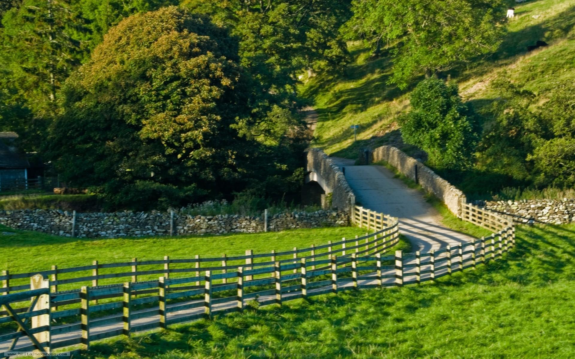 fondos de escritorio gratis fondos,paisaje natural,naturaleza,verde,césped,árbol