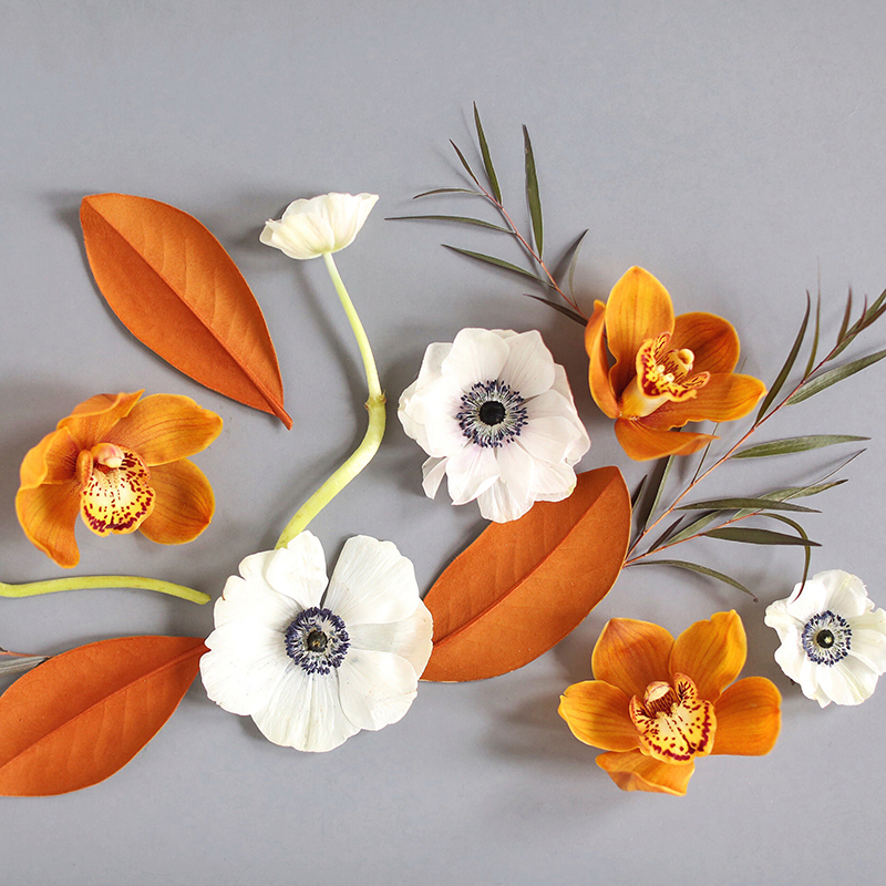 fonds d'écran gratuits,orange,fleur,plante,photographie de nature morte,feuille