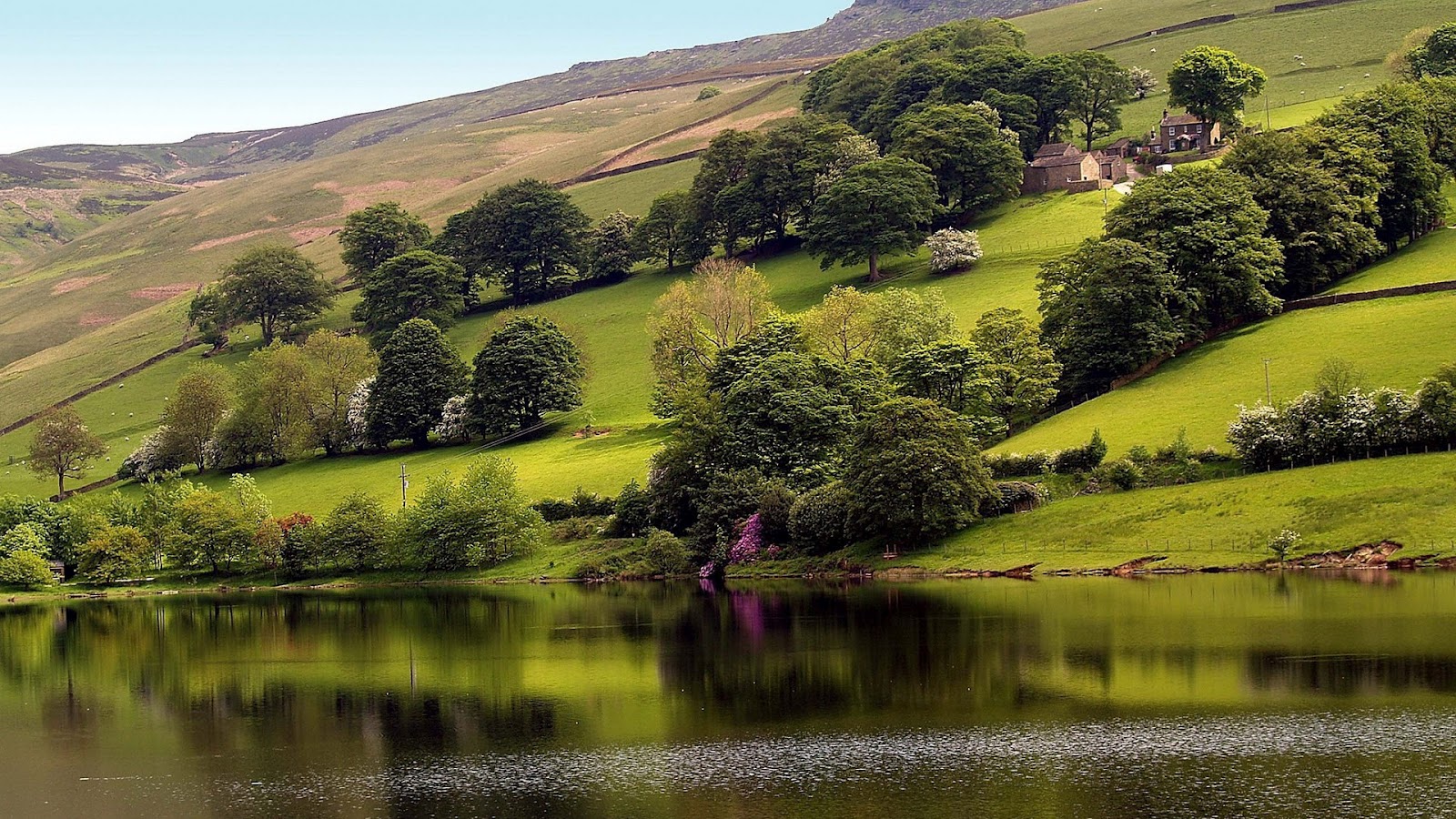 fondos de pantalla bonitos y hermosos,paisaje natural,naturaleza,verde,reflexión,colina