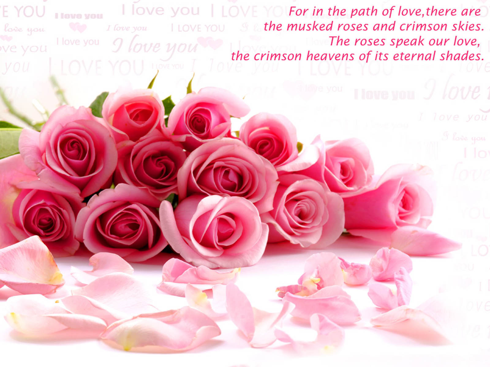 愛の良い壁紙,ピンク,庭のバラ,ローズ,花,切り花