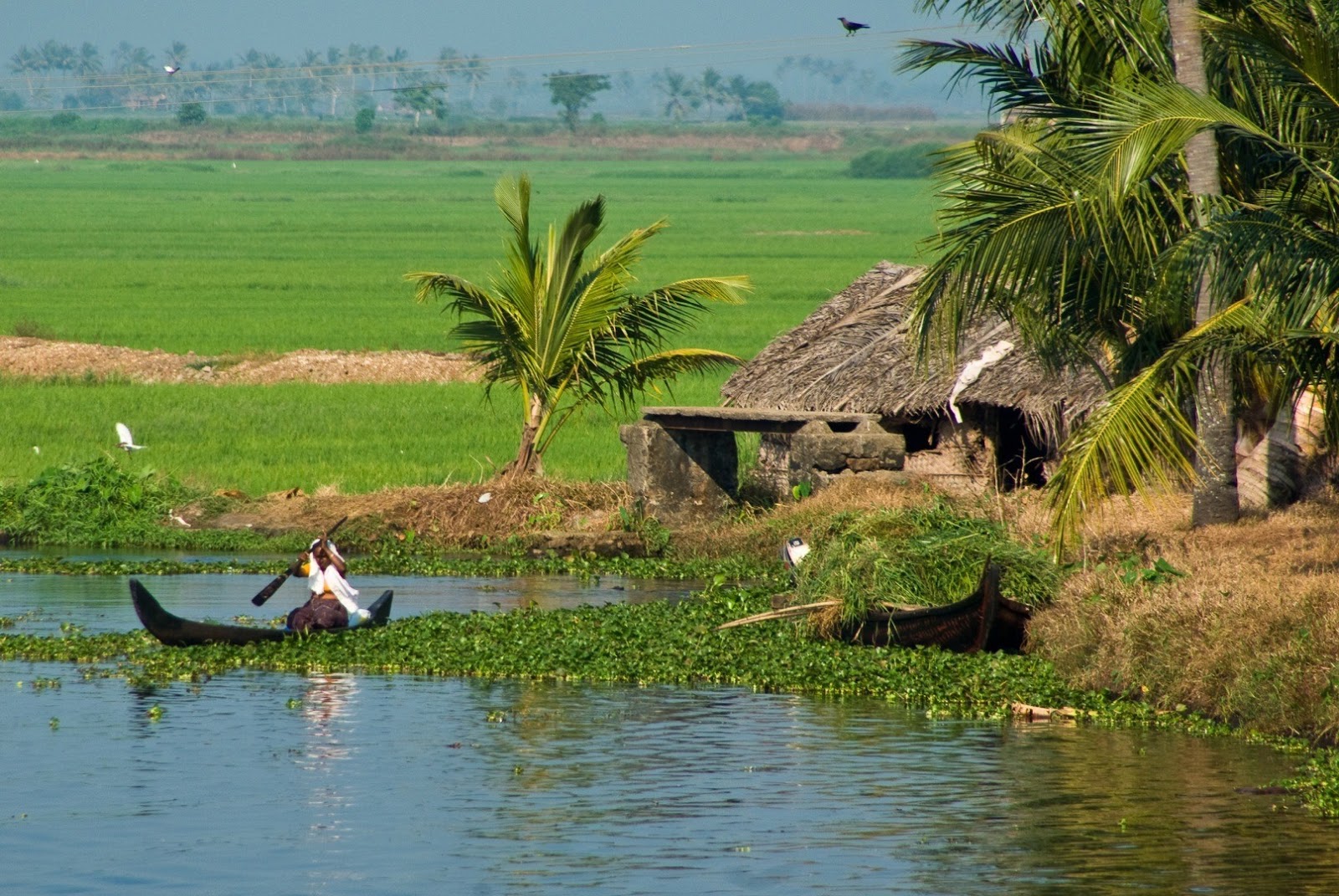 nice beautiful wallpaper,natural landscape,nature reserve,river,water resources,rural area