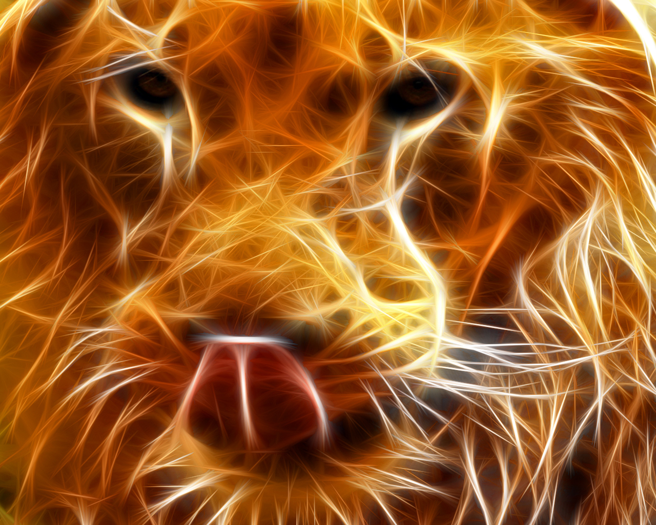 free online wallpaper,felidae,nose,lion,big cats,carnivore