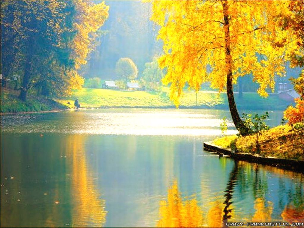 Very Beautiful Wallpaper Hd WallpaperUse