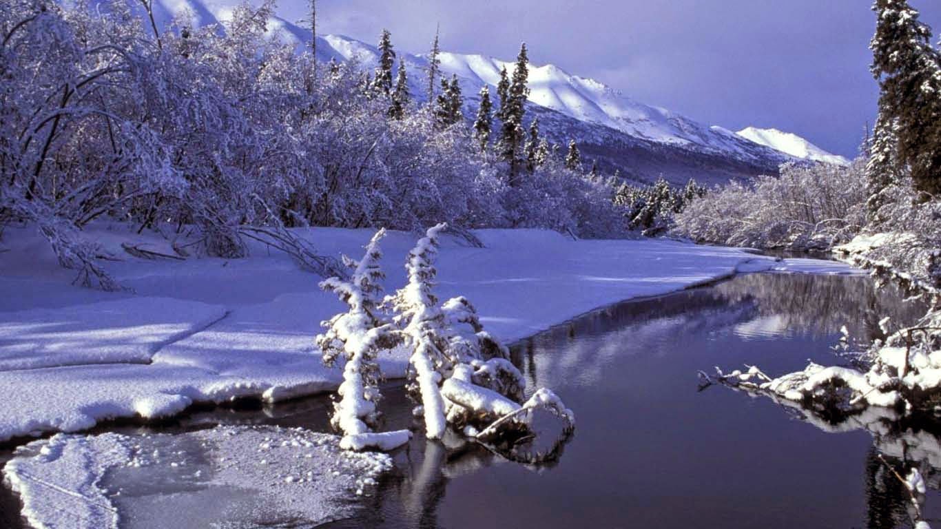 nouveau beau fond d'écran,la nature,paysage naturel,hiver,gelé,neige