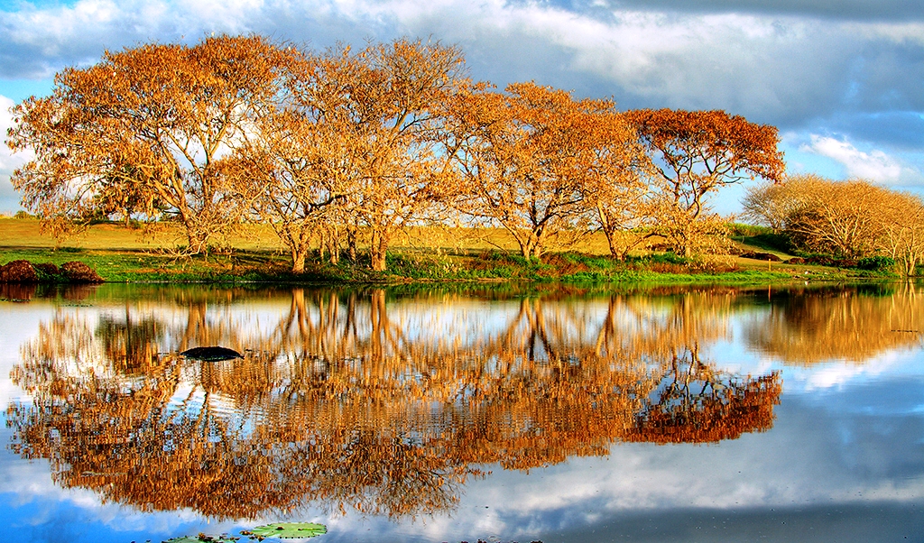 The Good Quality Desktop Wallpapers To Make Our Pc Landscape