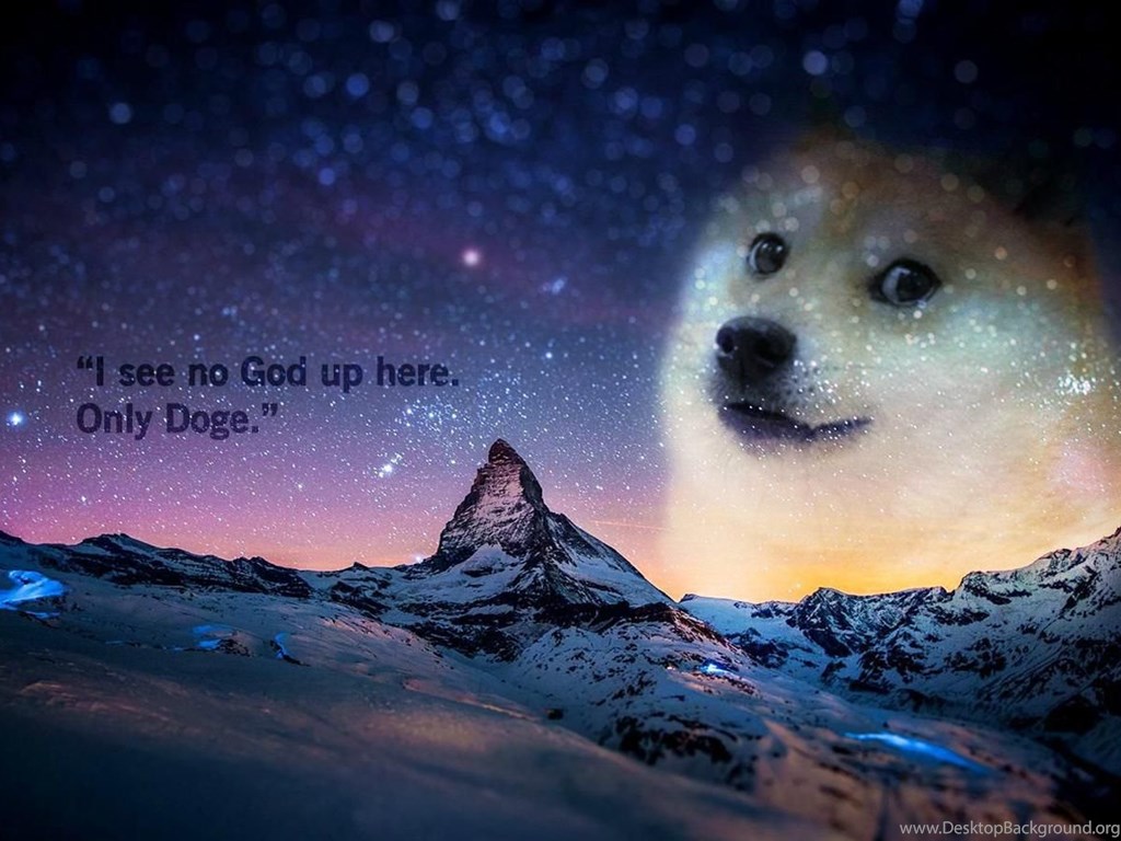 un buen fondo de pantalla,cielo,ártico,perro,atmósfera,akita