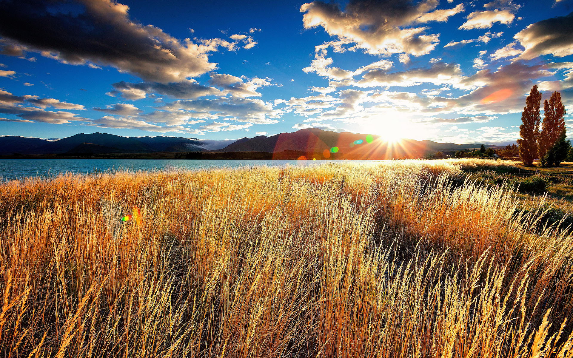 優れた壁紙 自然の風景 空 自然 草原 草 Wallpaperuse