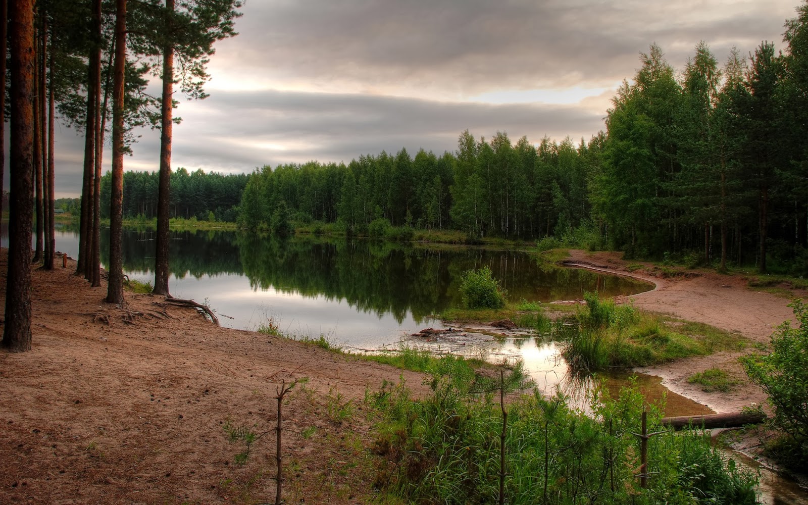 自然の壁紙のhd,自然の風景,自然,水,木,水資源