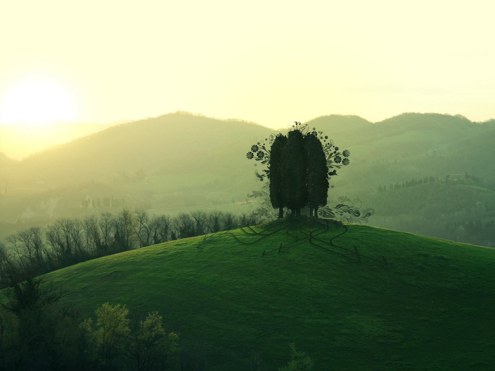 sfondi migliori,natura,verde,collina,cielo,mattina