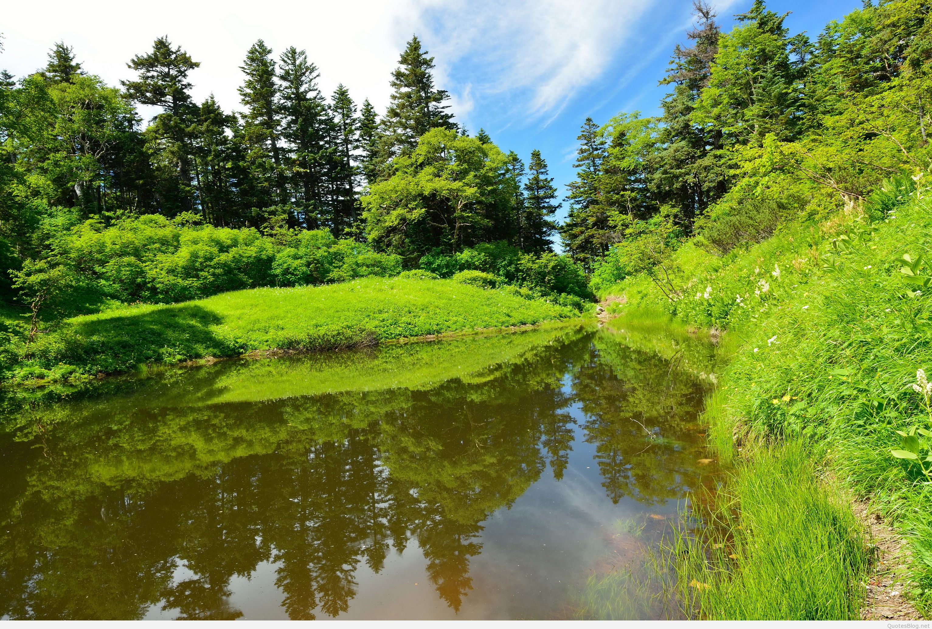 carta da parati estiva,paesaggio naturale,natura,riflessione,risorse idriche,acqua