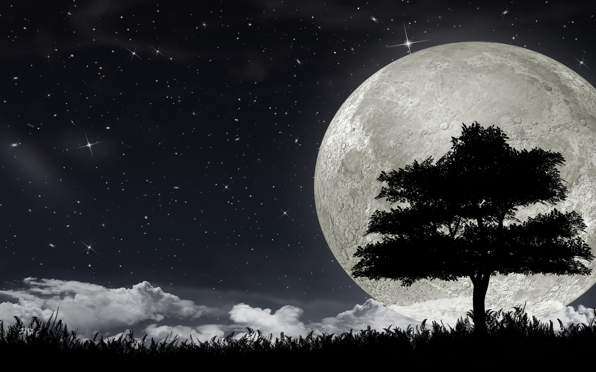 fond d'écran lune,ciel,la nature,lune,clair de lune,noir et blanc