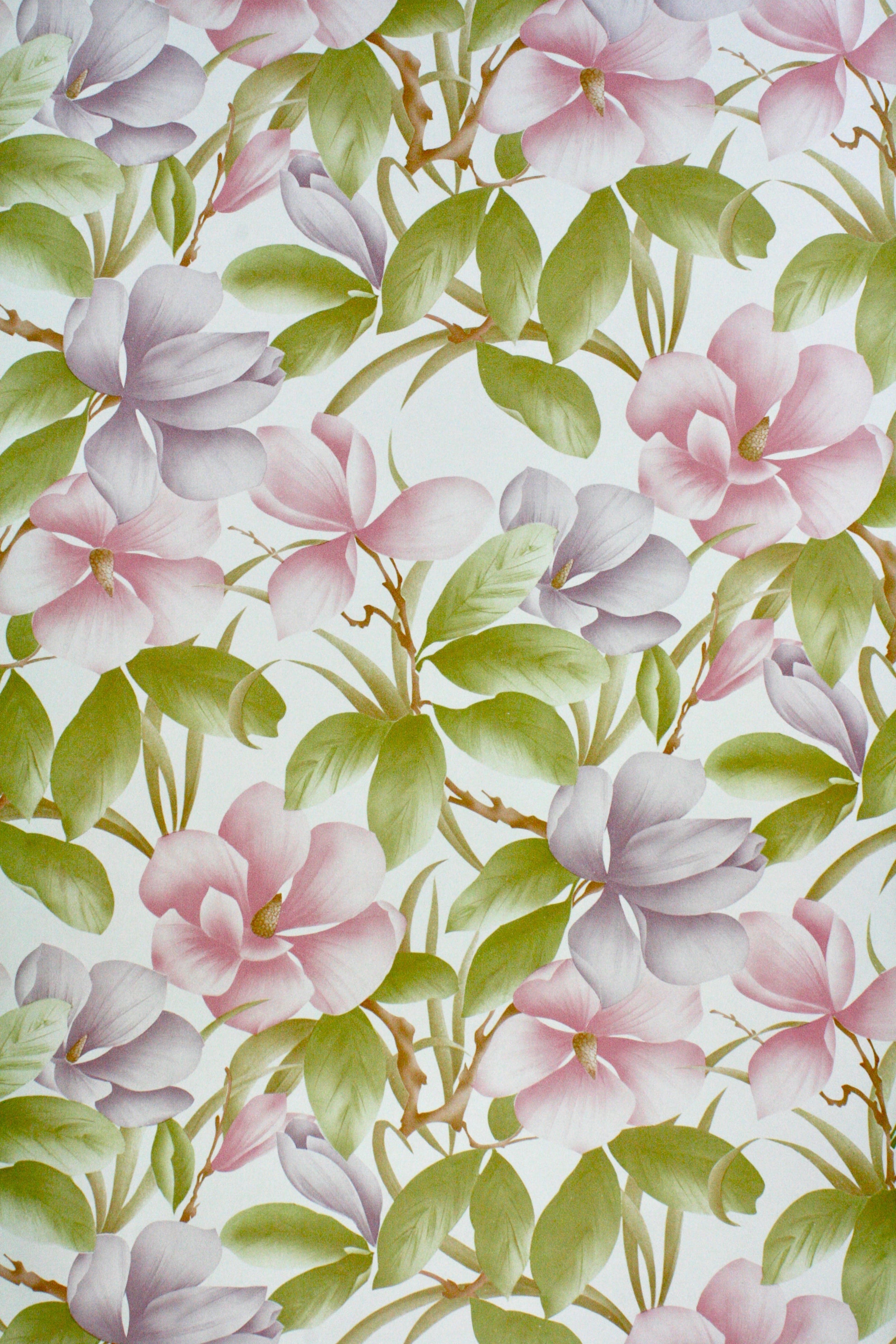 floral wallpaper,flower,petal,pink,pattern,plant