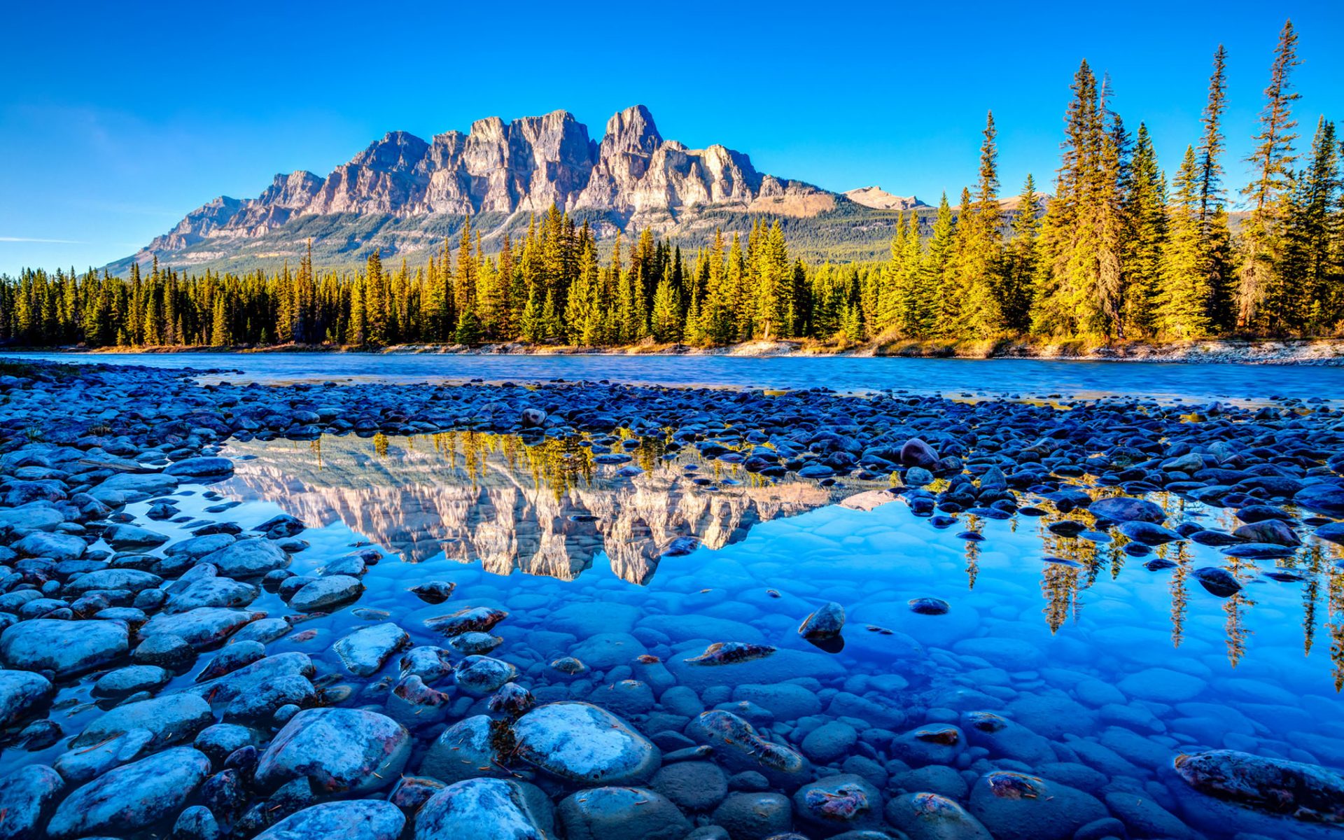 beautiful wallpaper hd,natural landscape,nature,larix lyalliisubalpine larch,reflection,wilderness