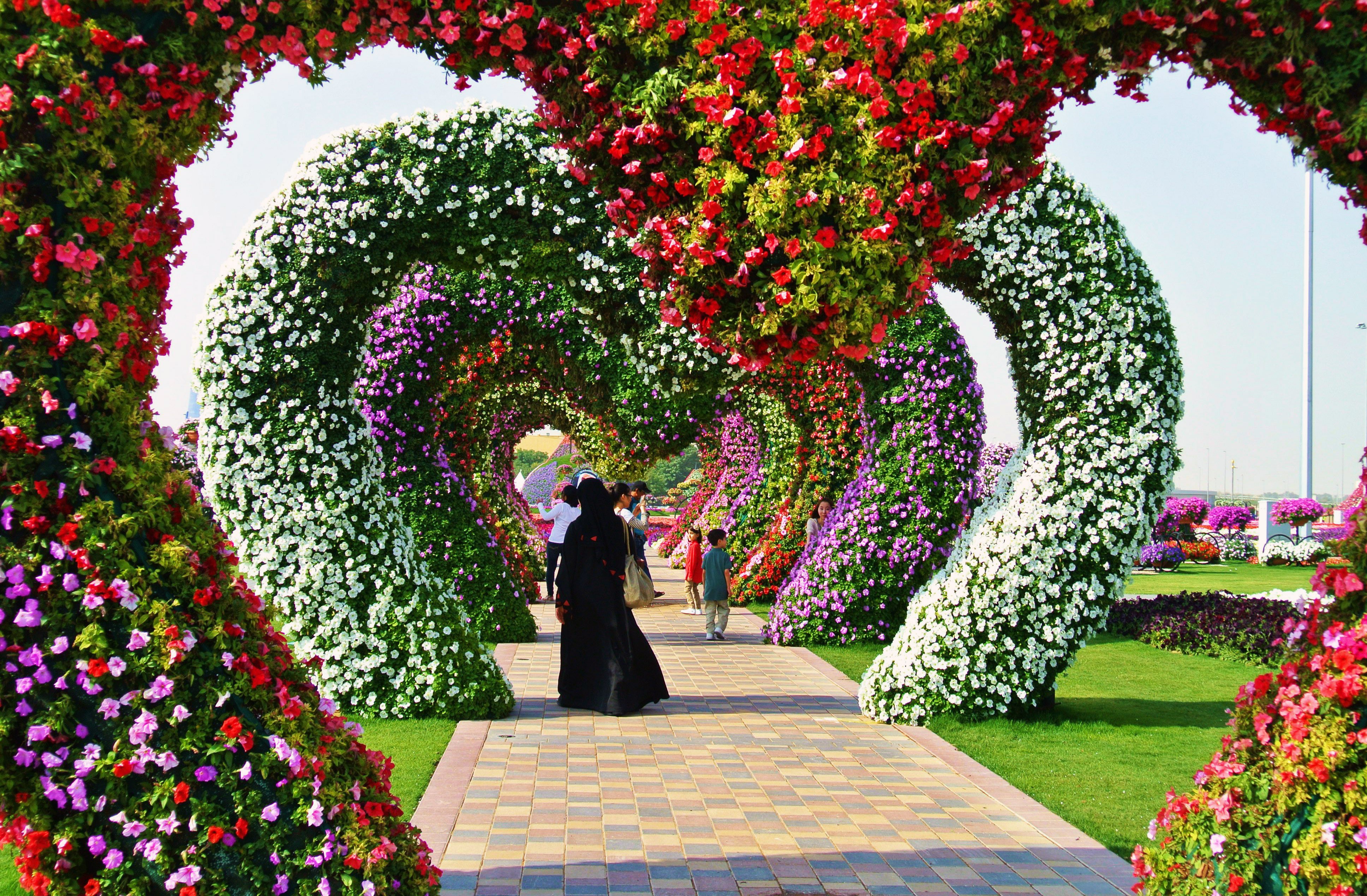 tapete naturblumen,garten,bogen,botanischer garten,baum,blume