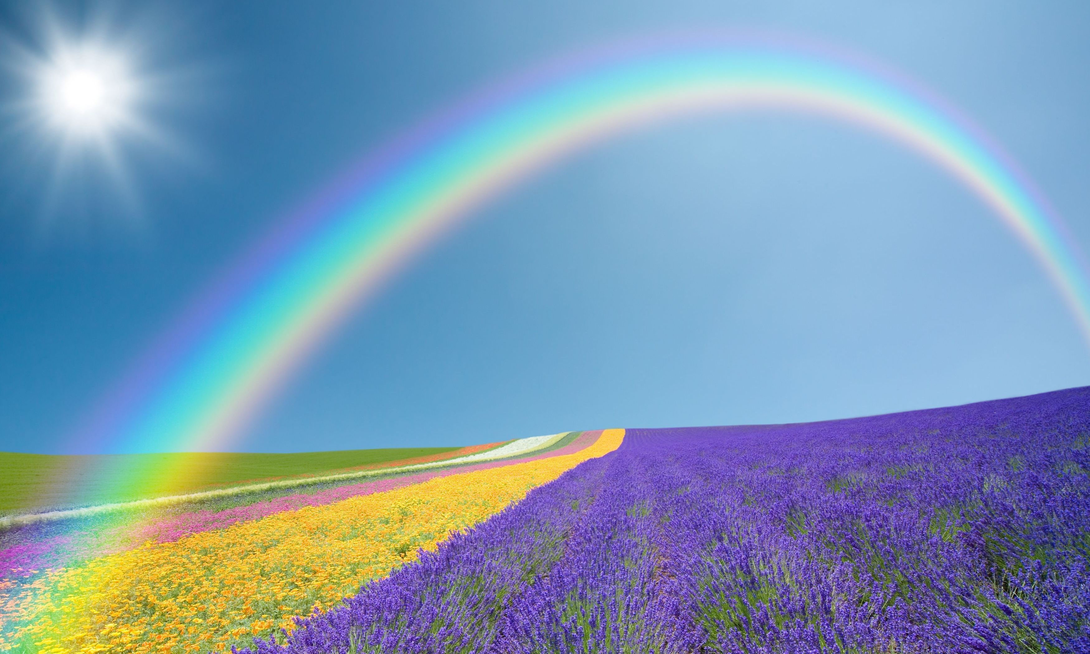 rainbow wallpaper,rainbow,sky,lavender,nature,natural landscape