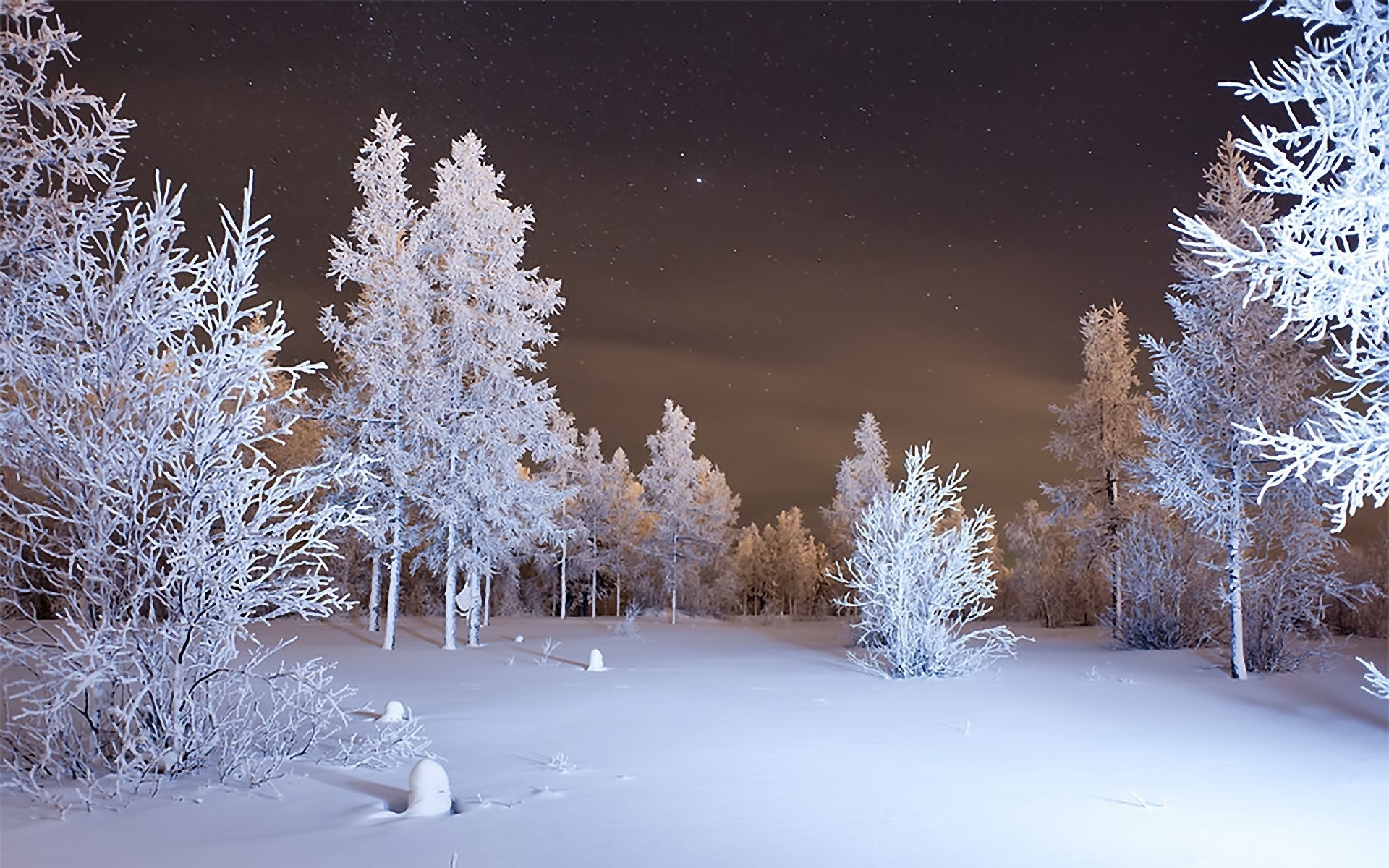 snow wallpaper,winter,snow,frost,nature,freezing