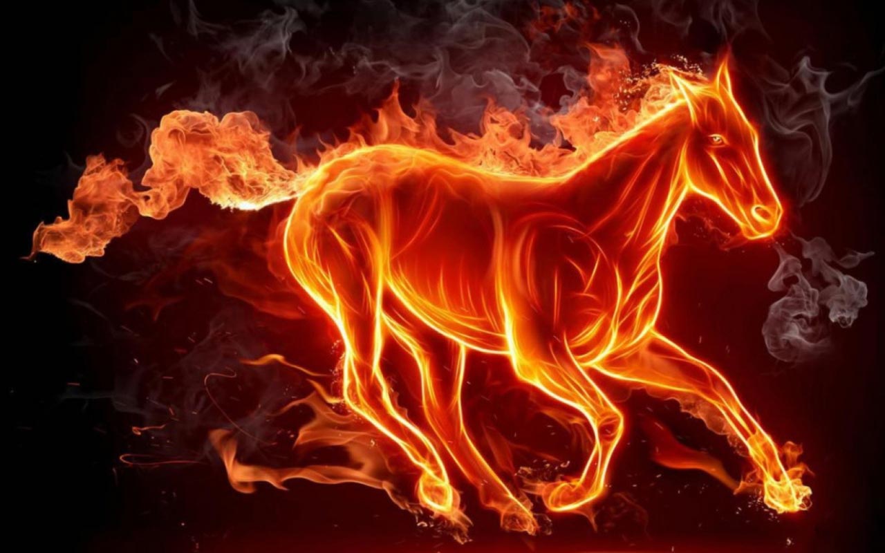 fondo de pantalla de fuego,fuego,calor,fuego,caballo,gráficos