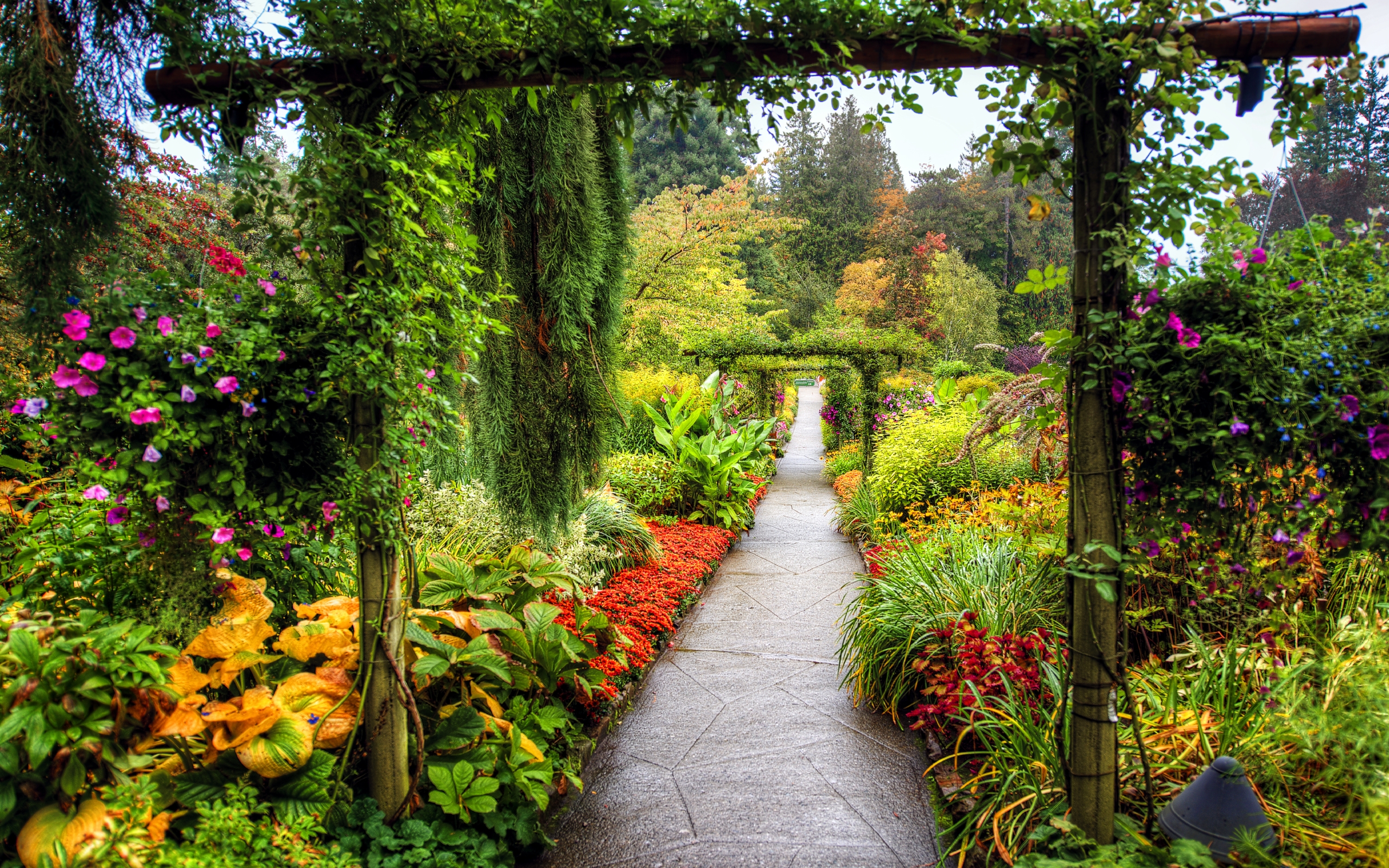 gartentapete,natur,garten,botanischer garten,baum,pflanze