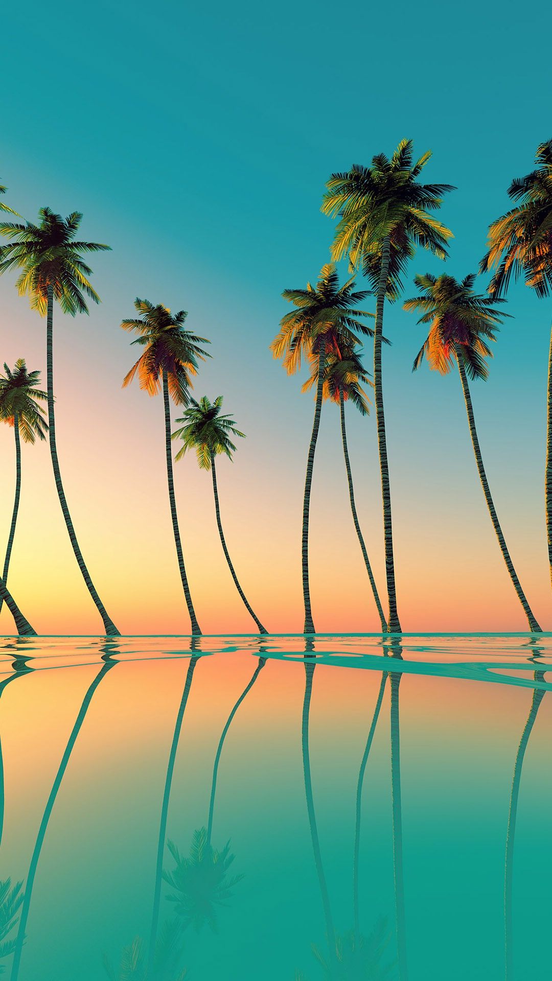 palm tree wallpaper,nature,sky,natural landscape,tree,palm tree