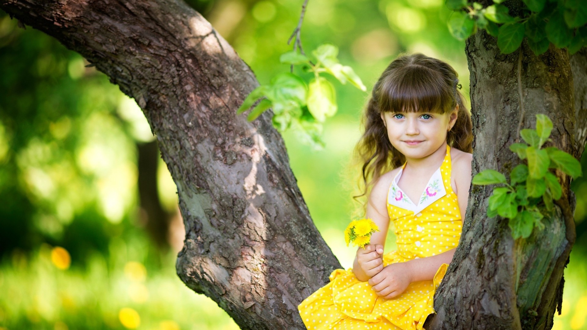 fonds d'écran mignons pour les filles,la nature,arbre,jaune,beauté,enfant