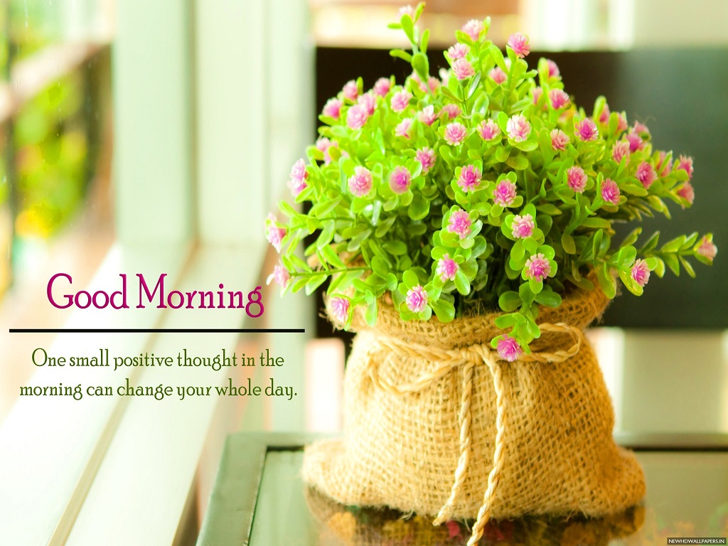 buongiorno download di sfondi,fiore,vaso di fiori,mazzo,tagliare i fiori,rosa