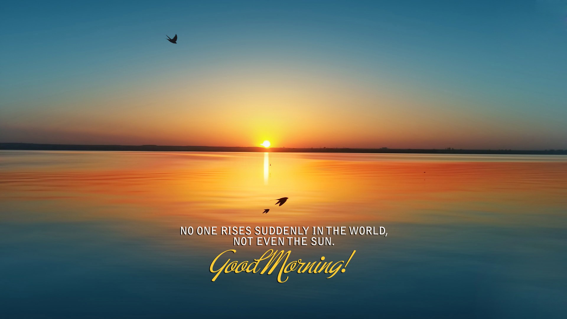 good morning wallpaper download,sky,horizon,calm,sunrise,morning