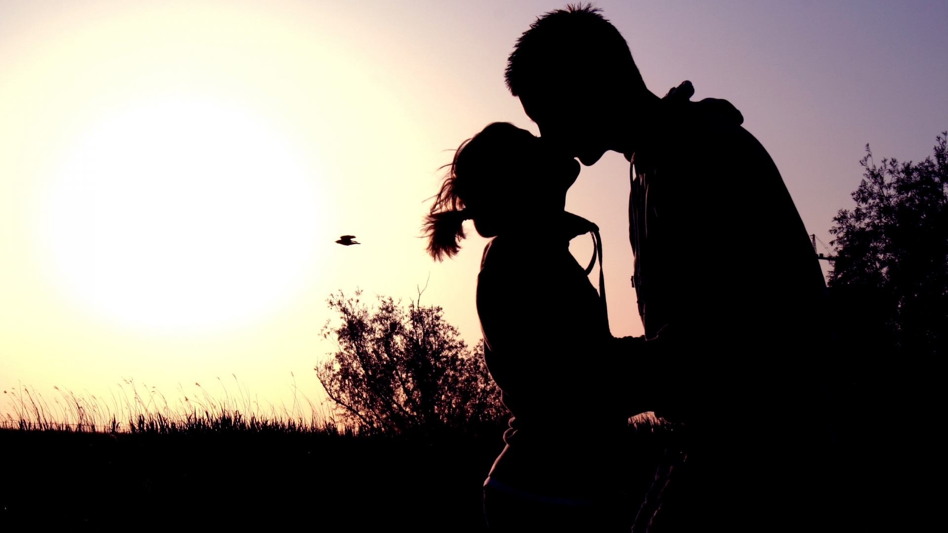 couple wallpaper,people in nature,photograph,backlighting,romance,sky