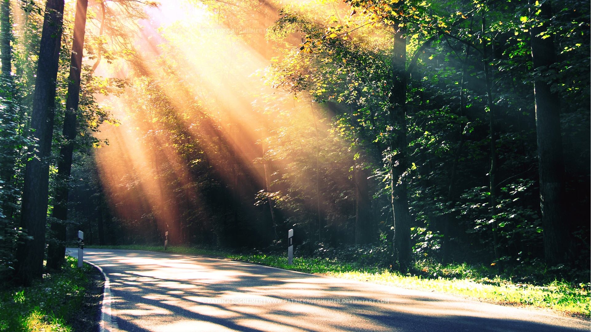 sfondi hd 1080p,natura,luce del sole,paesaggio naturale,albero,leggero