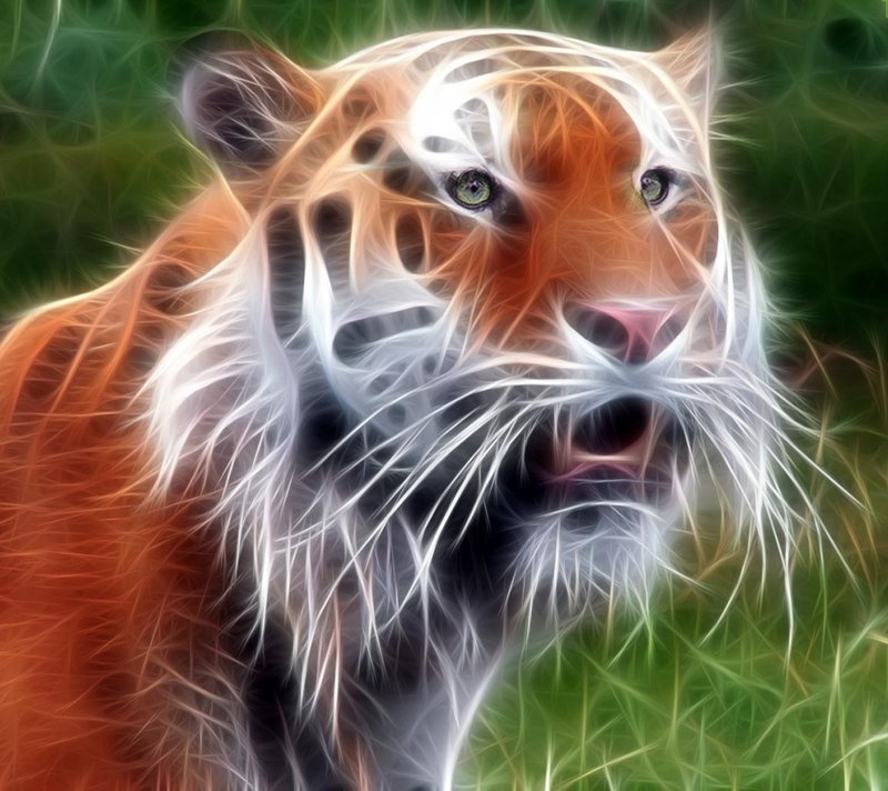 fondo de pantalla 3 dimensi,animal terrestre,bigotes,felidae,fauna silvestre,hocico